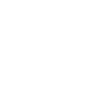 icons8-introduction-100
