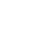 icons8-lecturer-100